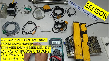 CHO AI CHƯA BIẾT NHỮNG CON NÀY LÀM GÌ TÊN GÌ [Phần 1]