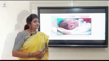 EVS-Lesson- Ear To Ear-Session 1- 08/07/2020