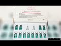 8ml Stayve BB Cream Glow Starter Niacinamide Essence Kit Facial Salmon DNA Foundation Cream Moisturi