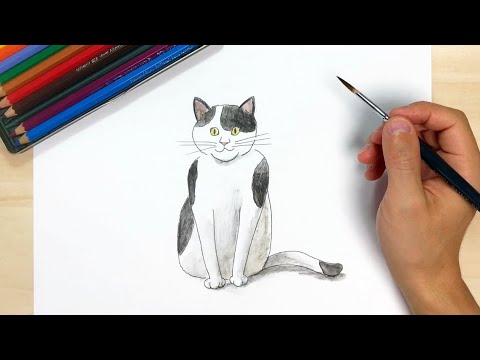 座る猫2 ペン画と色鉛筆の絵の描き方簡単イラスト Youtube 座る猫2 ペン画と色鉛筆の絵の描き方簡単イラスト Youtube