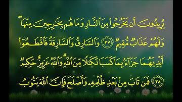 بندر بليلة - سورة المائدة (35 ~ 39)