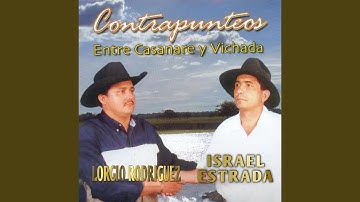 Contrapunteo por Al