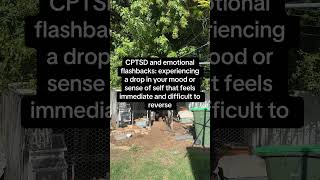CPTSD Emotional Flashbacks Can Feel Like This #cptsd #emotionalflashback