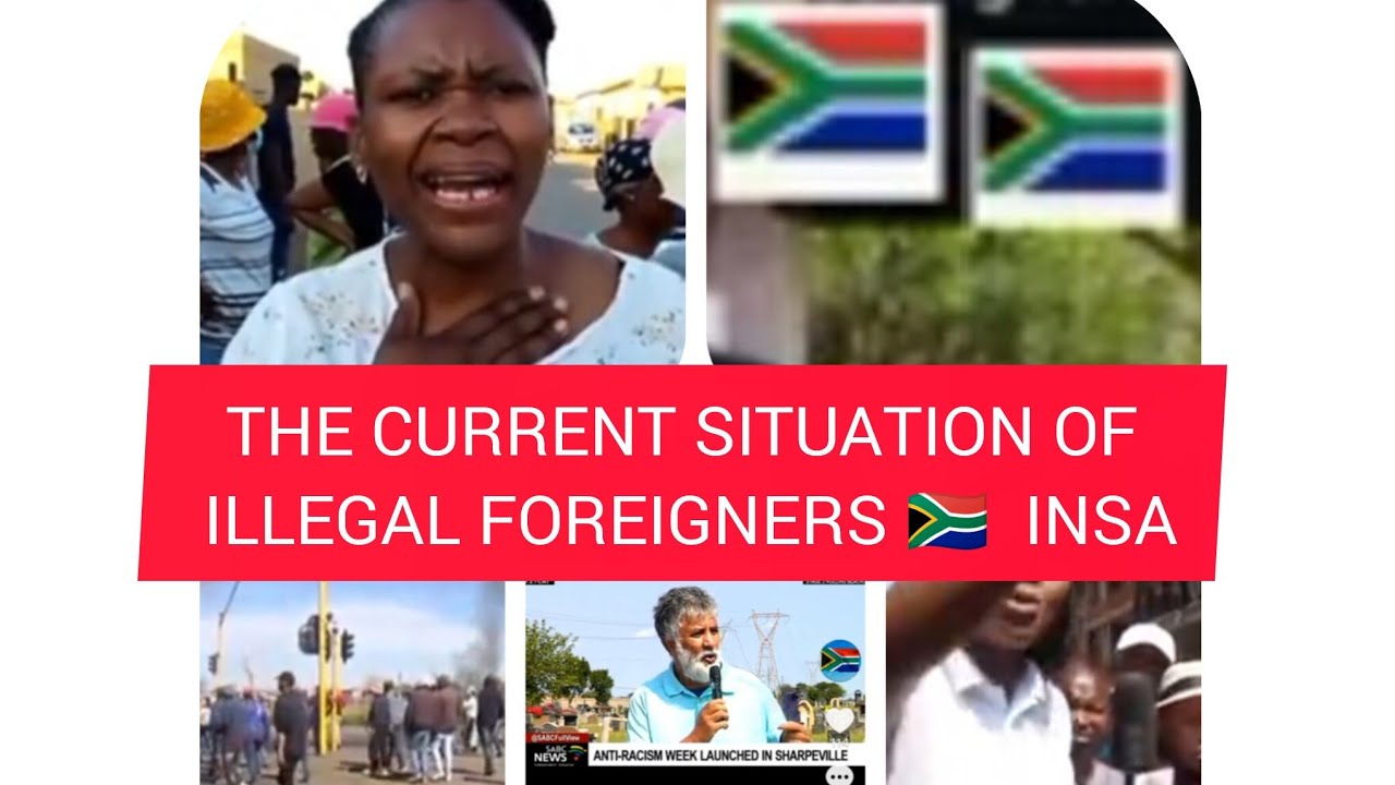 Current situation of illegal foreigners in South🇿🇦 Africa Today (must watch) 
