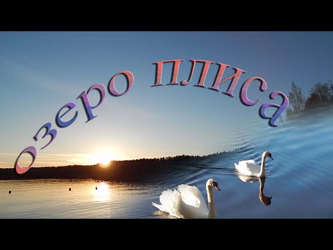 озеро Плиса. Глубокский р-н Витебская обл