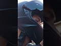 #marlon on #Twitch | Marlon on moped ride to the next stop back to Athens