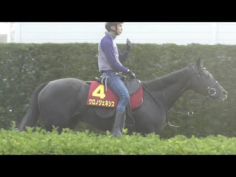 【エリザベス女王杯】クロノジェネシス・和田保長助手　創世記ネクスト