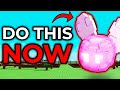 PREPARE NOW to Get RICH in The Fairy Update! (Grow a Garden)