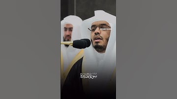 سورة المائدة الاية (٥٤) - ياسر الدوسري #قرآن #ياسرالدوسري #اكسبلور #القرآن_الكريم #القران