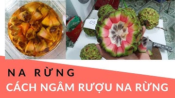 CÁCH NGÂM RƯỢU QUẢ NA RỪNG - BÁN QUẢ NA RỪNG