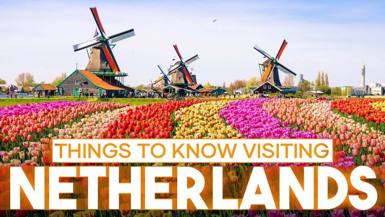 Netherlands Travel Guide Everything You Need to Know About Netherlands