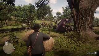 Red Dead Redemption 2 blind gameplay no commentary pt 24