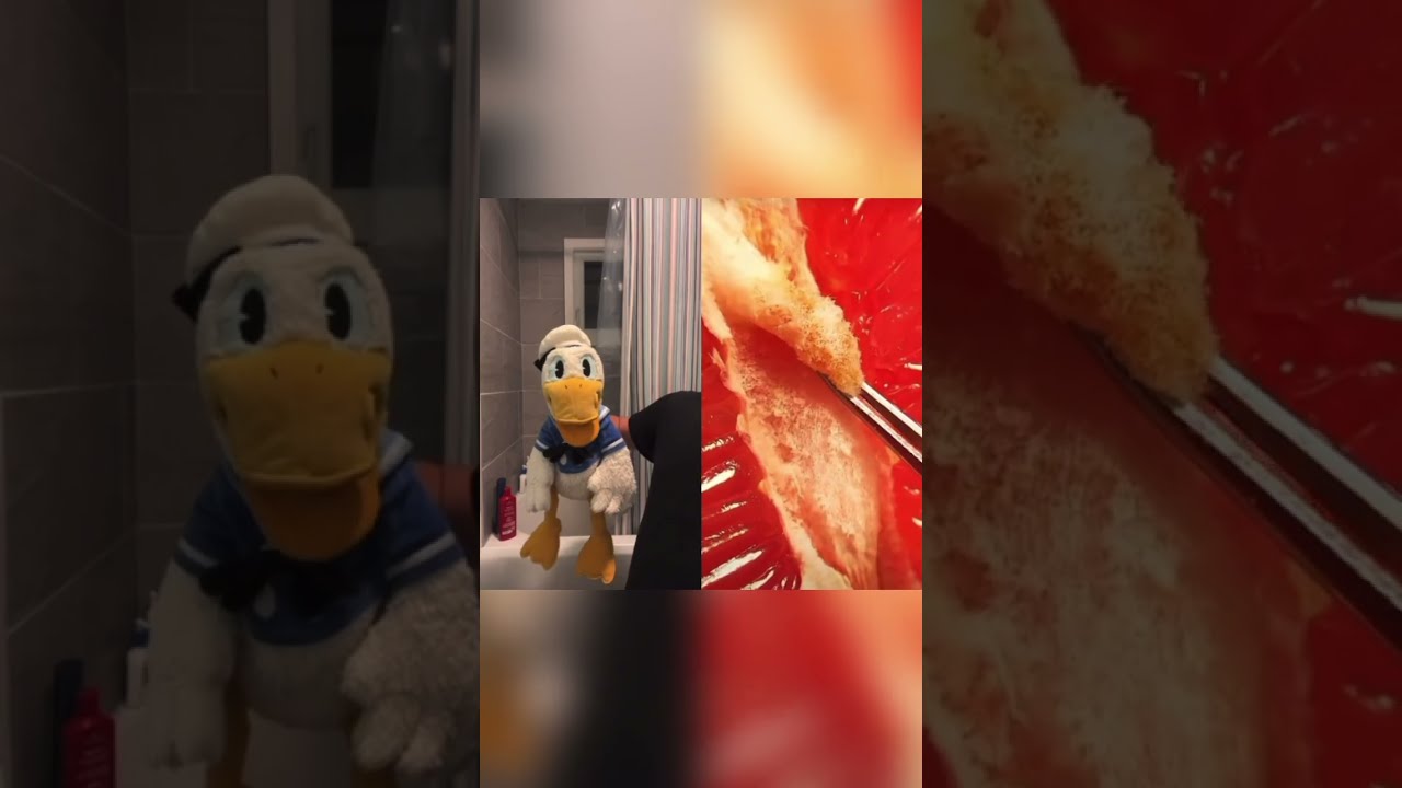 Donald Duck Cant Hold It In Anymore Shorts Youtube 