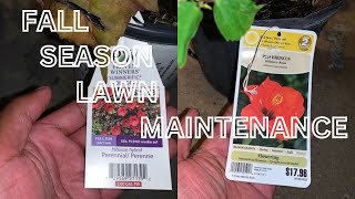 Fall Season Lawn Maintenance (Whitley &amp; Chill Season 3, Episode 15)