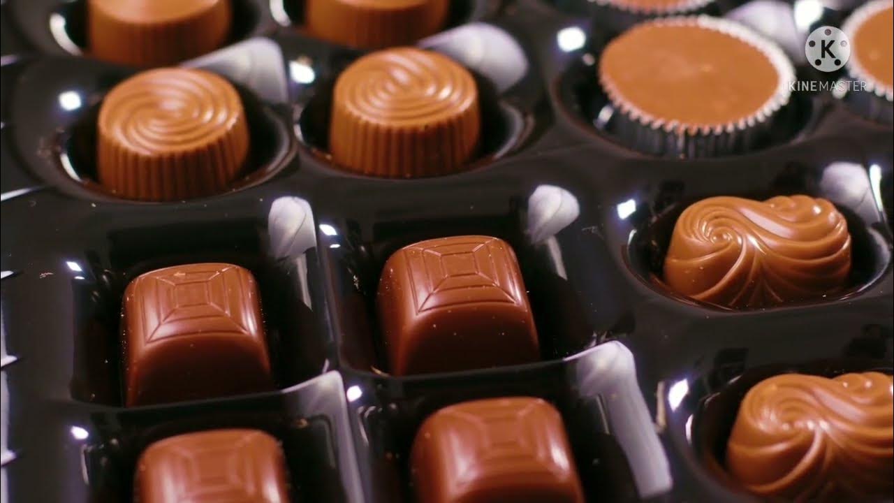 When You Eat Too Much Chocolate - YouTube