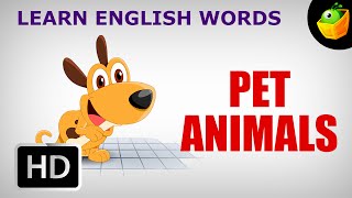 Pet Animals - Pre School - Learn English Words (Spelling) Video For Kids and Toddlers