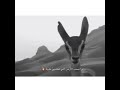 احبك يا نضر عيني غناتي احبك يا نضر عيني غناتي