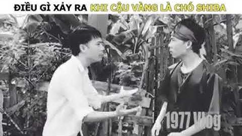 Lão hạc và cậu Vàng shinba.hài.