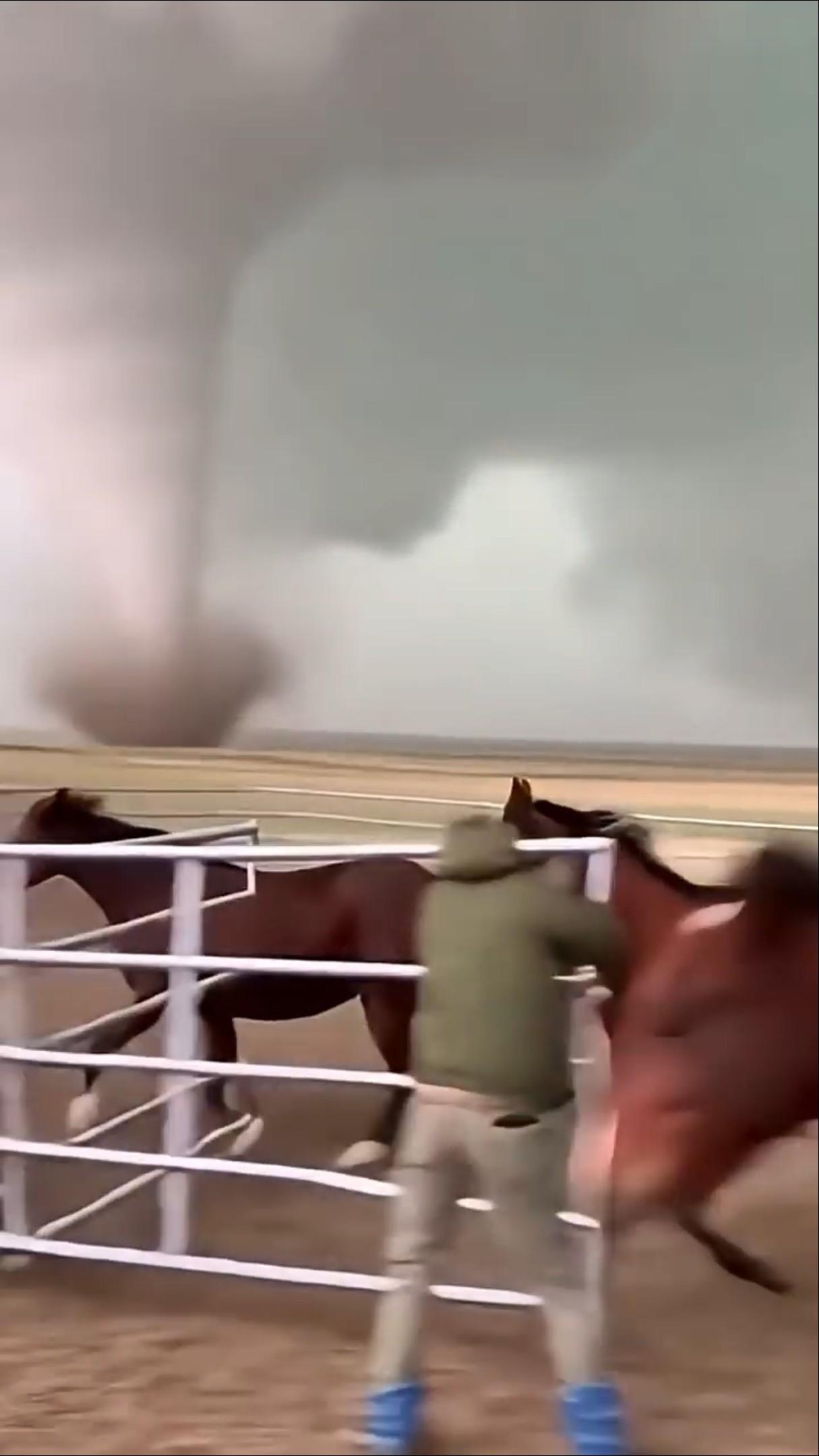 oardefault.jpg?sqp=-oaymwEkCJUDENAFSFqQAgHyq4qpAxMIARUAAAAAJQAAyEI9AICiQ3gB\u0026rs=AOn4CLDSoIWO8eBn1jI7nKXLWcKv684qWw