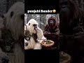 #punjabi #bandar #punjabibandar #funy #funny #new #news #viral #viralvideo #vira