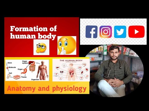 Formation of human body ##anatomy मानव शरीर कैसे बनता है cell tissue ...