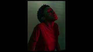 World Press Photo Festival 2021 | Winners Speak: Alisa Martynova