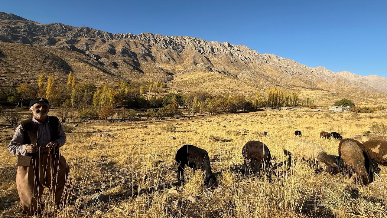 Life in the Mountains | Traditional Farming in a Beautiful Autumn