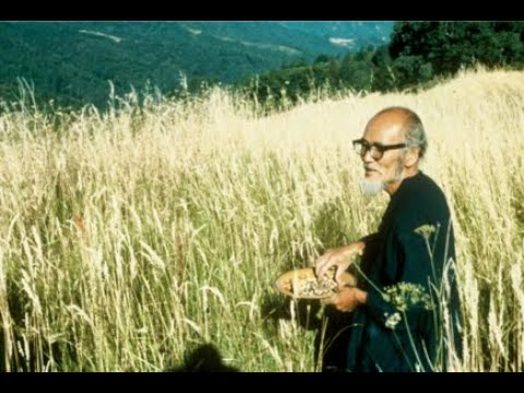 ინტერვიუ მასანობუ ფუკუოკასთან