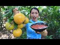 Eating fresh fruit with chili sauce delicious - Eating show