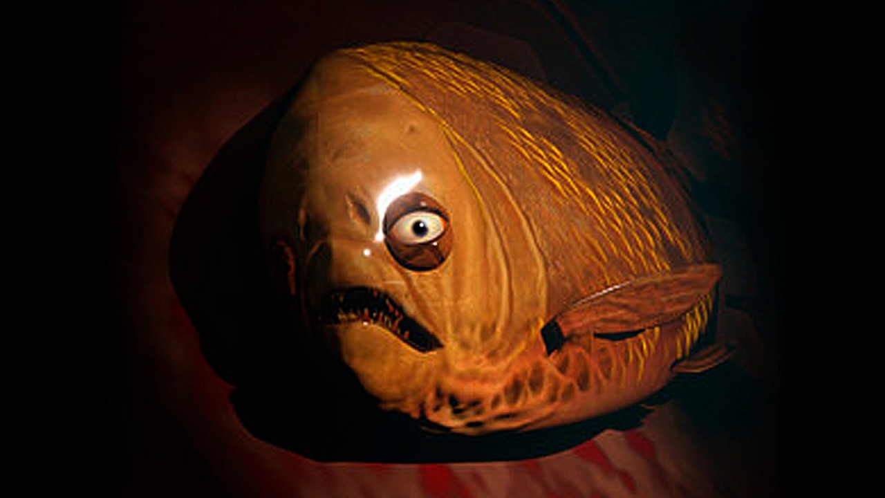 LE DEBO DINERO A UN PEZ | Loan Shark