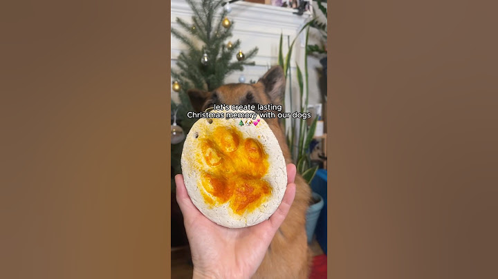 I Made Christmas Ornaments From My Dog's Paw Prints #shorts #christmas #holidays