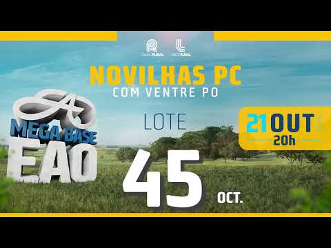 LOTE 45