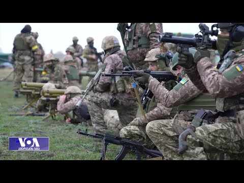 დალაქი, დურგალი, აიტი სპეციალისტი - უკრაინელი მოხალისეები ფრონტის ხაზიდან