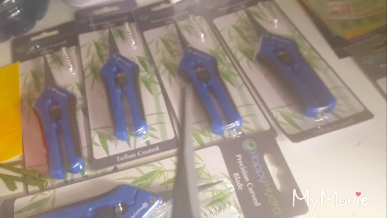 End of Week 3 and Happy Hydro Mail