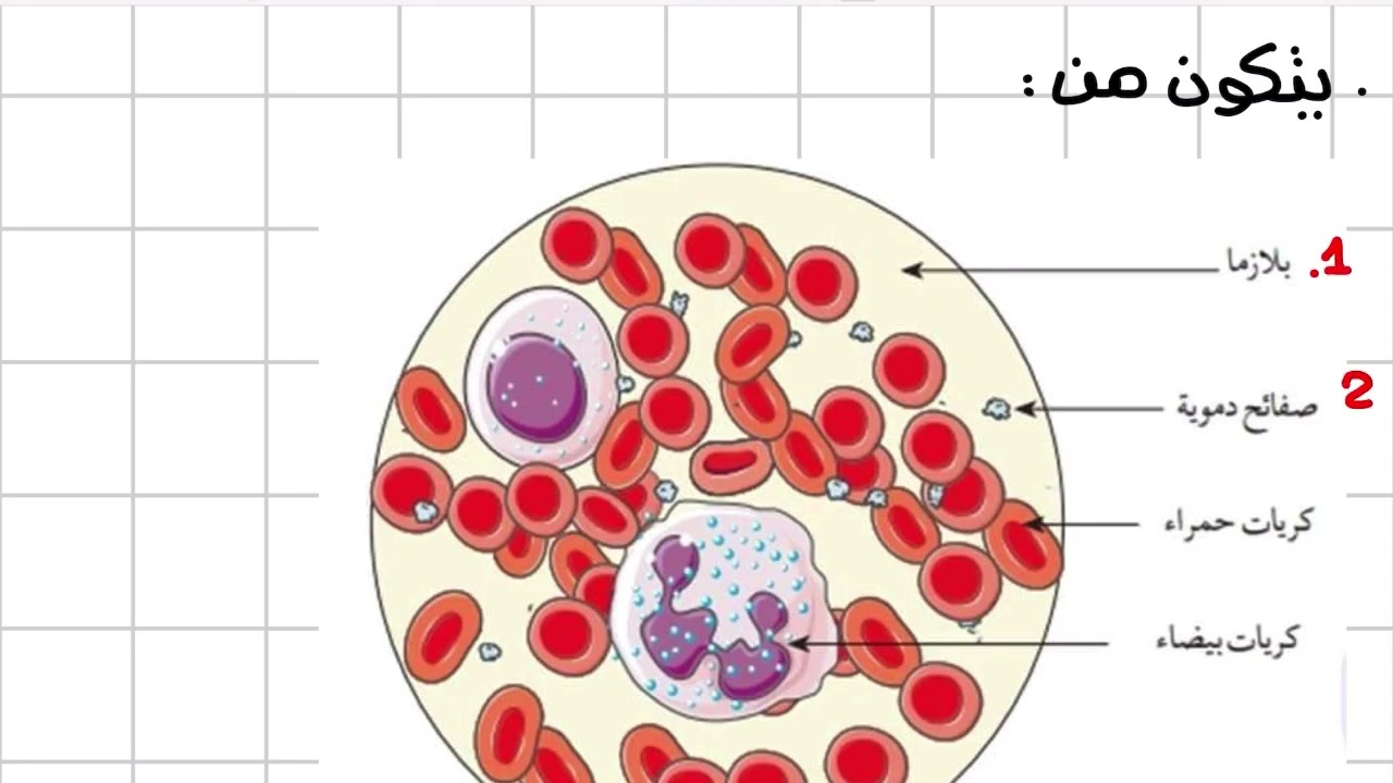 ما هو الوسط الداخلي ؟