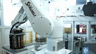 Shellback Torrent Sp, Automated Spray Batch Tool For Wafers Up To 300Mm
