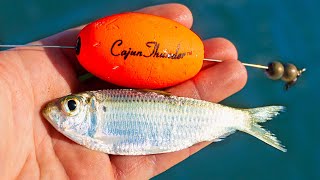 One of the BEST Ways To Catch Redfish  LIVE Bait Around Structure