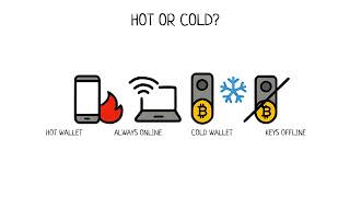 Full Hot vs Cold Wallet: Where Should Your Keys Live | ₿itcoin Basics Guide