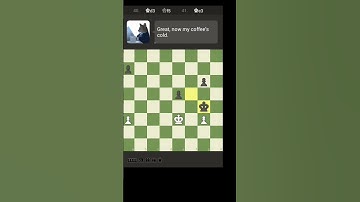 Chess.com Catspurrov Checkmate