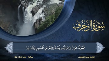 43   سورة الزخرف   الشيخ أحمد النفيس