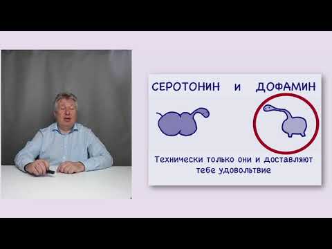 Витамины источник счастья? Идиотизм или @CleverMindRu ?