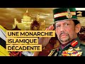 Le brunei darussalam  une monarchie sinistre  diplometrics by visualpolitik fr