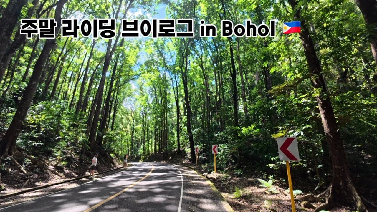 주말 라이딩 in Bohol 🇵🇭 #Weekend #주말 #라이딩 #브이로그 #보홀 #Bohol #Vlog #riding 