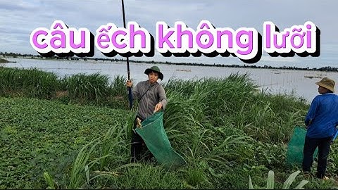 Câu ếch _ câu ếch không lưỡi mùa nước lũ về trên đồng ruộng _ Cà Kê Vlog