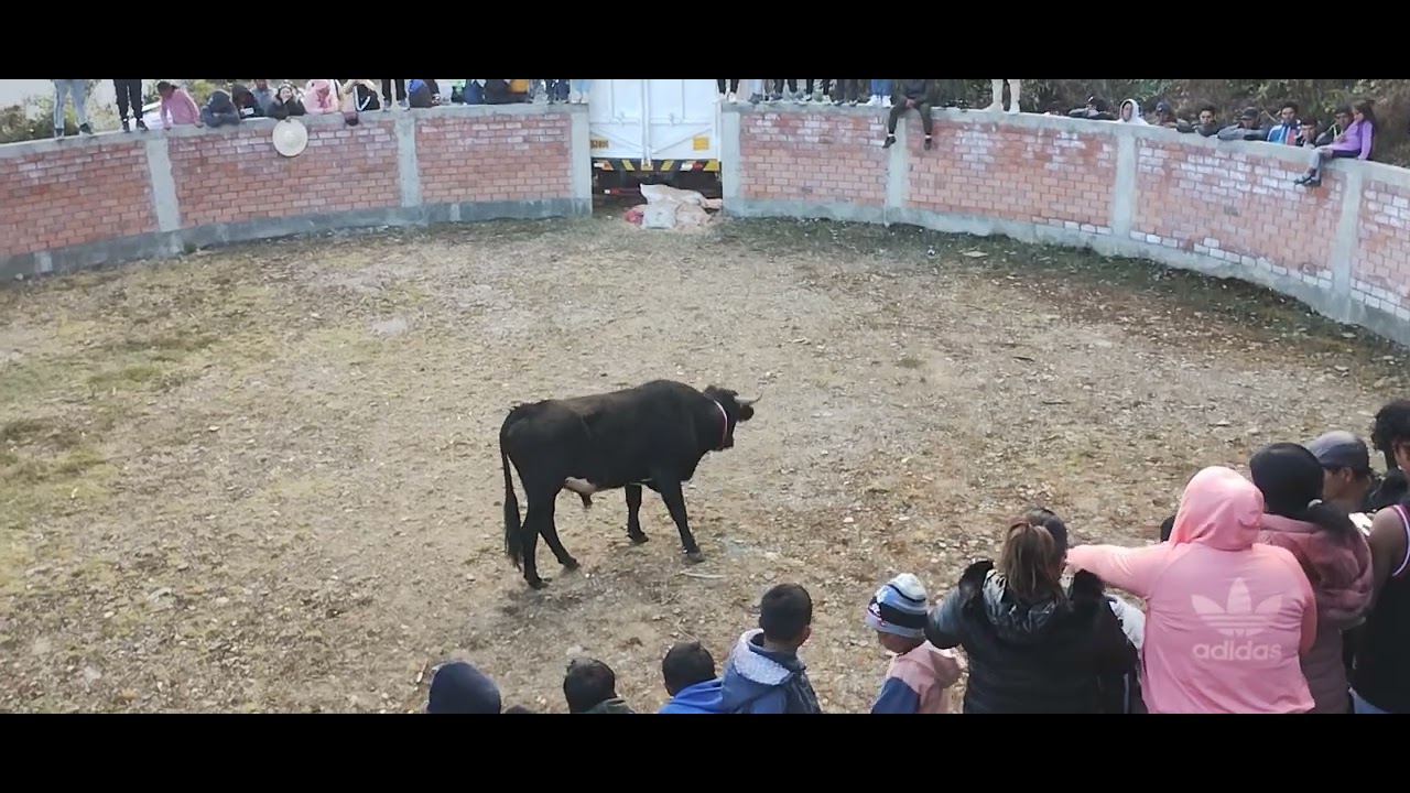 URPISH - HUANUCO - toros 2024