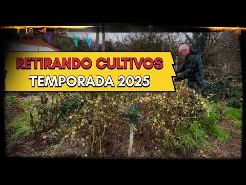 EMPEZAMOS LA TEMPORADA 2025 retirando los cultivos de la temporada 2024 💪🏻👨🏼‍🌾