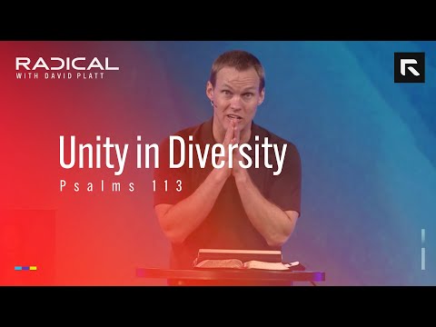 Unity in Diversity || David Platt