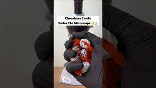 You've Never Seen a Choclatey Candy Look Like This 😳🔬 #shorts #facts #microscope #candy