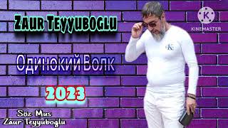 Zaur Teyyuboglu _ Одинокий Волк_2023  mp3