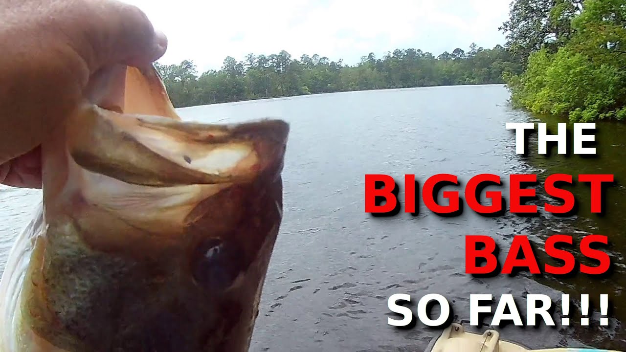 This OVERLOOKED Summer Lure Catches BIG BASS!!!!